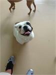 daycare pic 75 - dazzle
